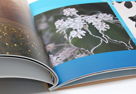 Fotoalbum personalizzato online, stampato su carta patinata con copertina morbida.